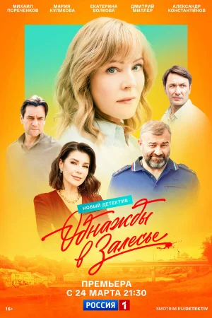 Однажды в Залесье 1 сезон